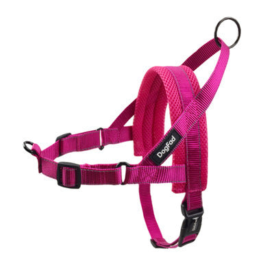 Adjustable Dog Harness & Leash Set – Safe, Durable & Comfortable Walks