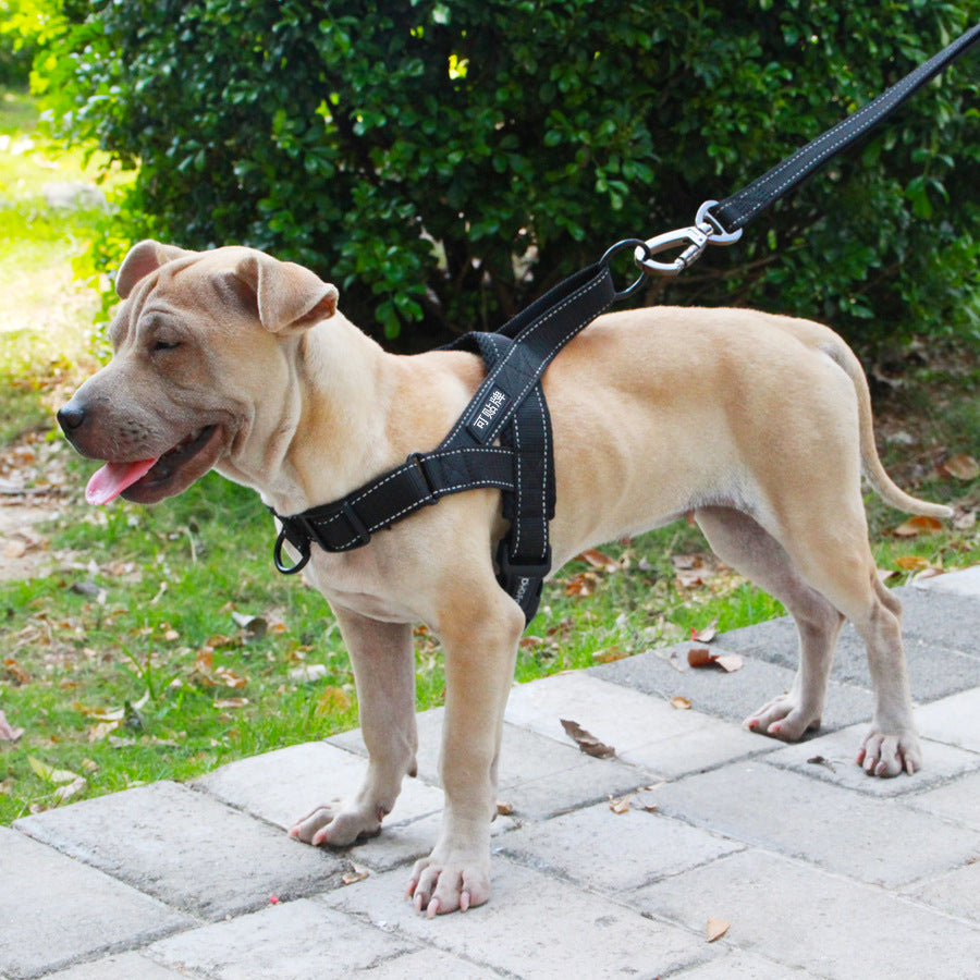 Adjustable Dog Harness & Leash Set – Safe, Durable & Comfortable Walks