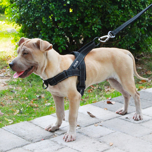 Adjustable Dog Harness & Leash Set – Safe, Durable & Comfortable Walks