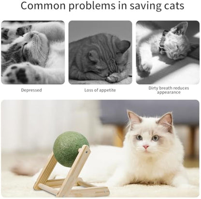 100% Natural Catnip Ball Toy – Healthy Fun for Happy Cats!