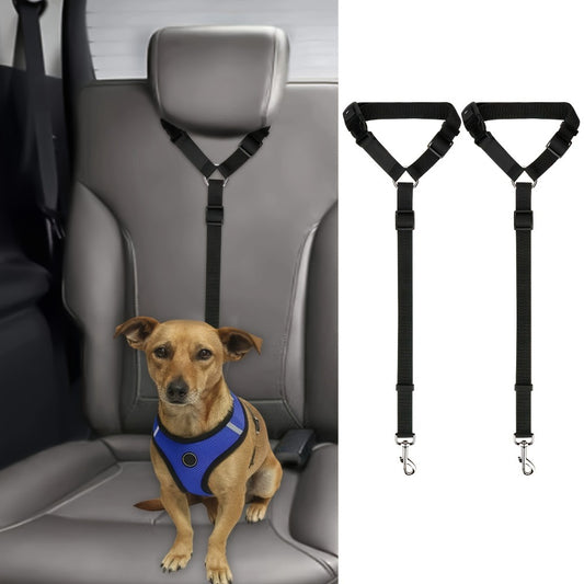 Premium Two-Piece Dog Leash & Collar Set – Durable, Comfortable & Stylish