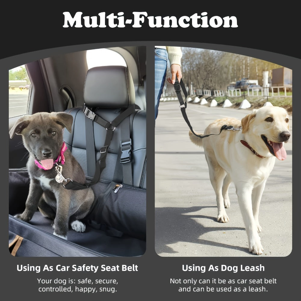 Premium Two-Piece Dog Leash & Collar Set – Durable, Comfortable & Stylish