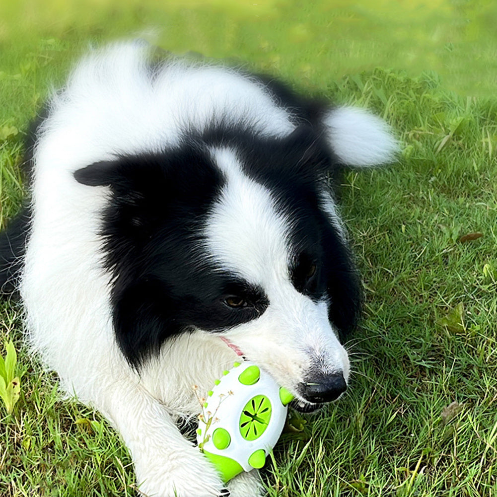 Multi-Function Dog Chew Toy – Dental Care & Fun in One!