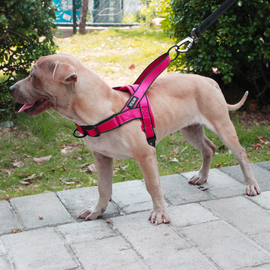 Adjustable Dog Harness & Leash Set – Safe, Durable & Comfortable Walks