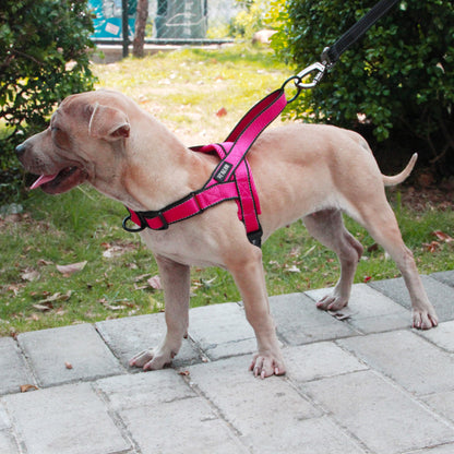 Adjustable Dog Harness & Leash Set – Safe, Durable & Comfortable Walks