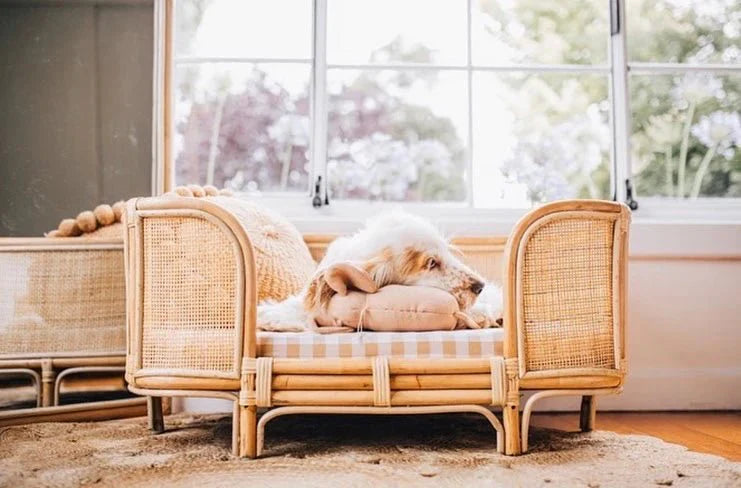 Ralf Rattan Dog Bed (3 Sizes)-3