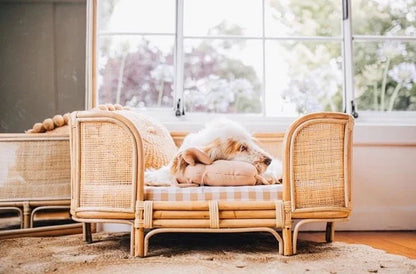 Ralf Rattan Dog Bed (3 Sizes)-3